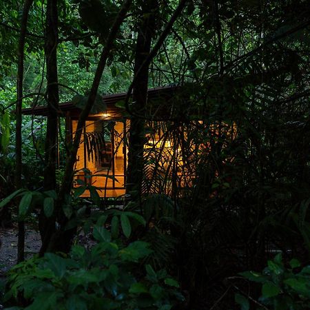 Hamadryade Lodge Misahualli Экстерьер фото