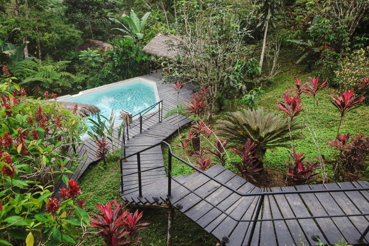 Hamadryade Lodge Misahualli Экстерьер фото